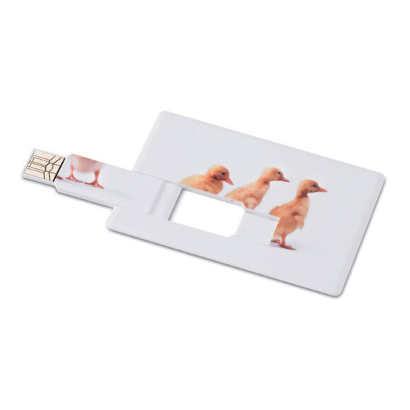 MEMORAMA - Creditcard. USB flash 4GB - MO1059a