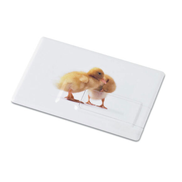 MEMORAMA - Creditcard. USB flash 4GB - MO1059a - Image 2