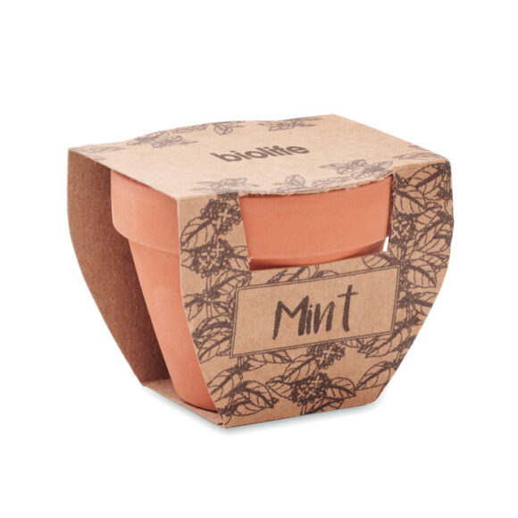 MINT POT - Terracotta pot mint seeds - MO2218 - Image 4