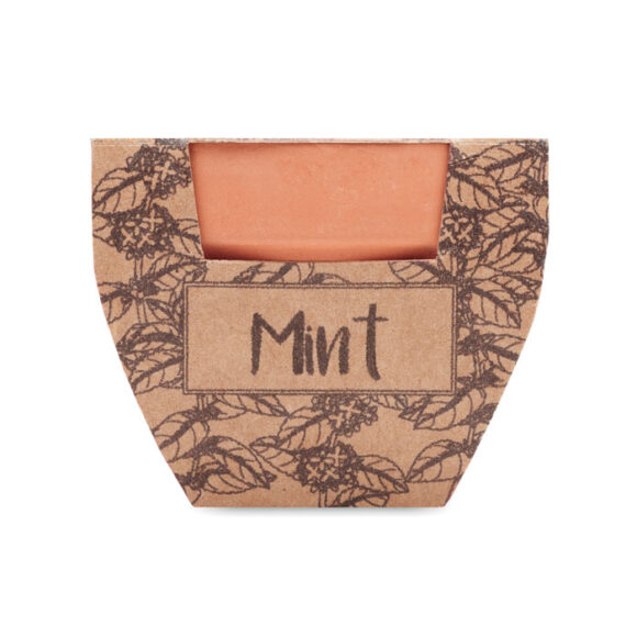 MINT POT - Terracotta pot mint seeds - MO2218 - Image 2