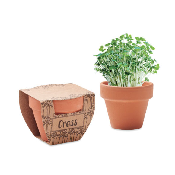 CRESS POT - MO2219