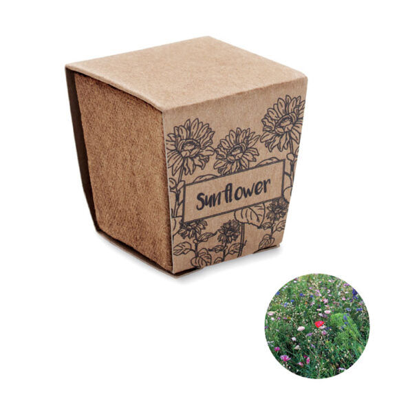 SUNFLOWER KIT - MO2411