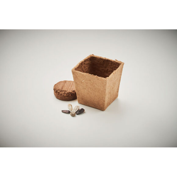 SUNFLOWER KIT - MO2411 - Image 6