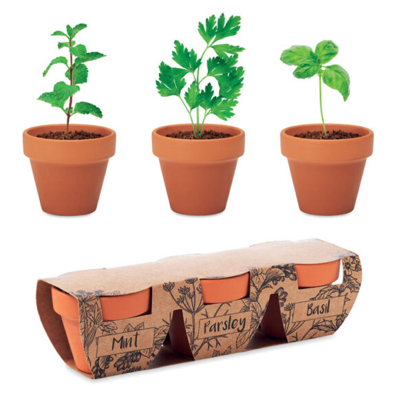 FLOWERPOT - MO6145