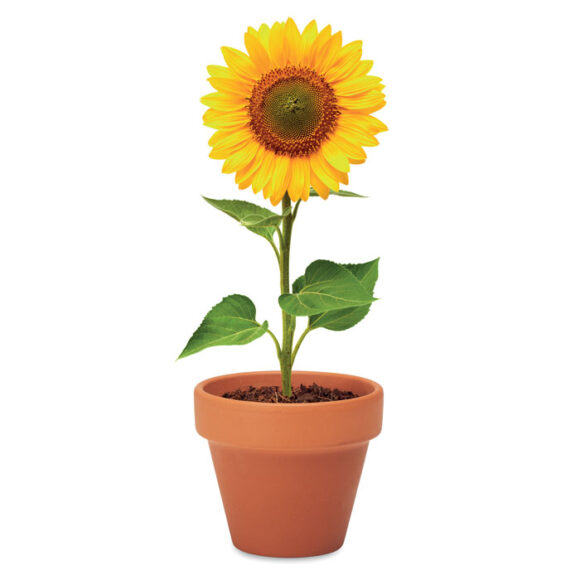 SUNFLOWER - MO6147 - Image 5