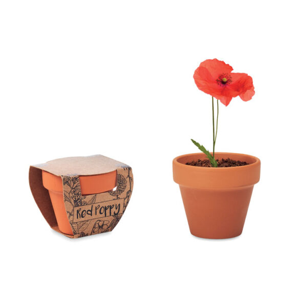 RED POPPY - MO6148