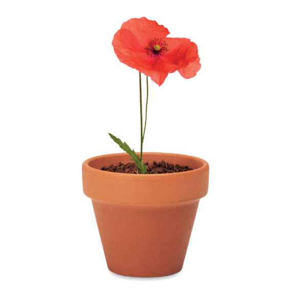 RED POPPY - MO6148 - Image 4