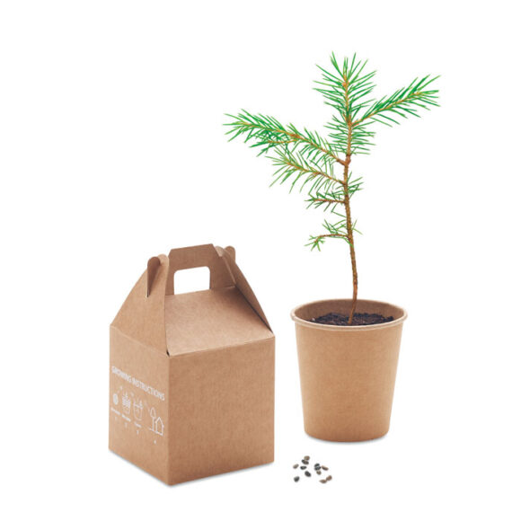 GROWTREE™ - MO6228 - Image 3