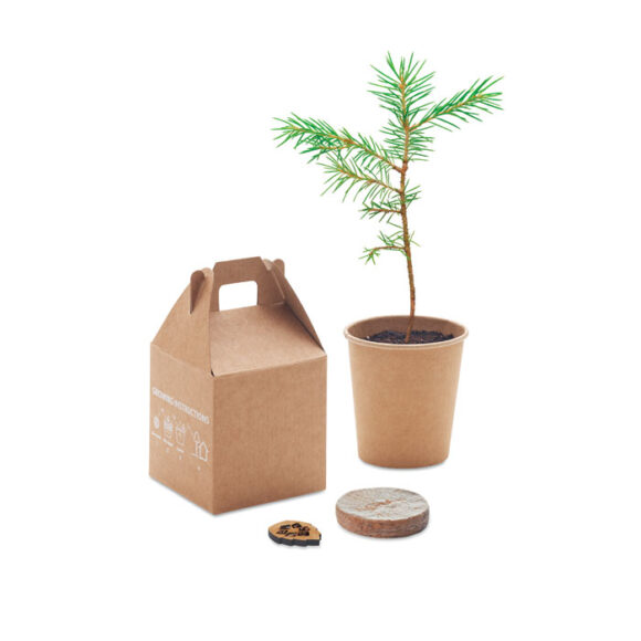 GROWTREE™ - MO6228 - Image 4