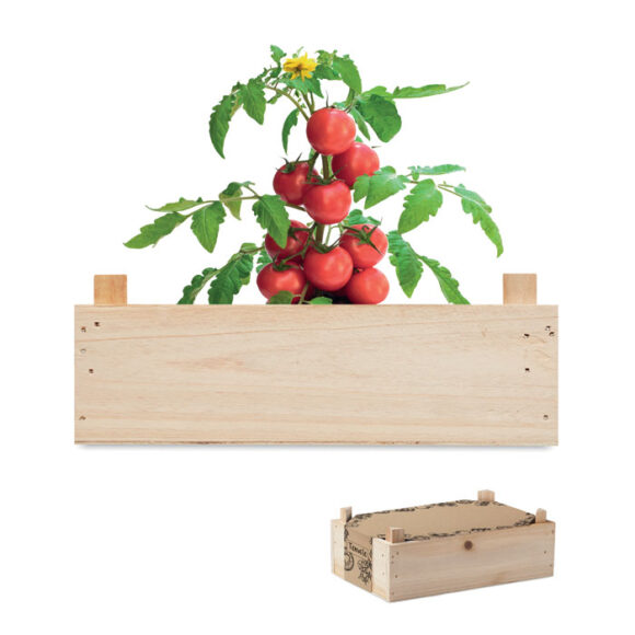 TOMATO - MO6498