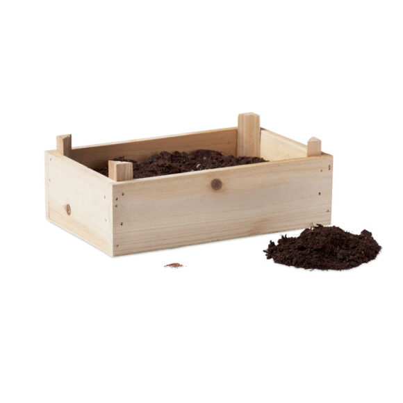 TOMATO - MO6498 - Image 3