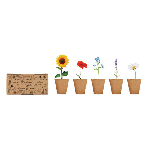FLOWERS - MO6500 - Image 4