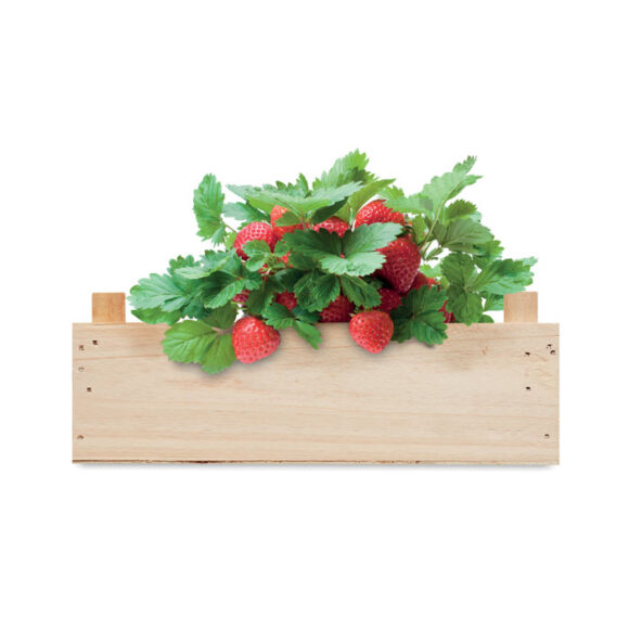 STRAWBERRY - MO6506 - Image 4