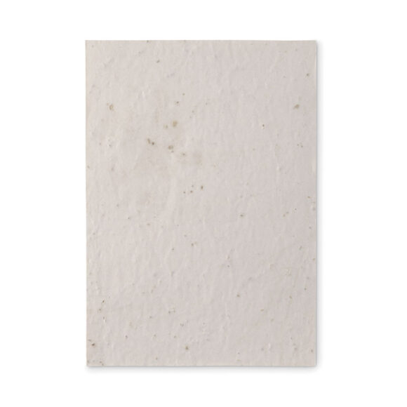 ASIDE - MO6915 - Image 2