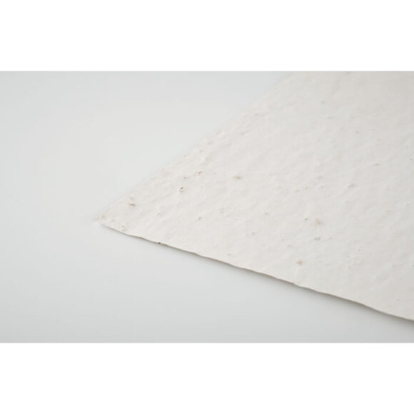 ASIDE - MO6915 - Image 5