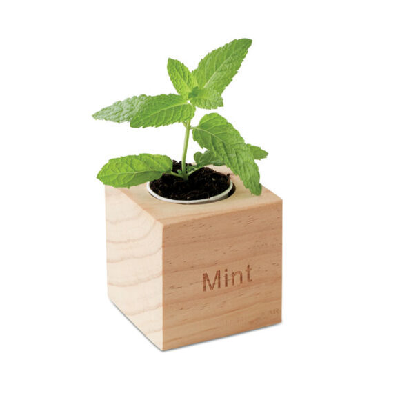MENTA - MO9337 - Image 3