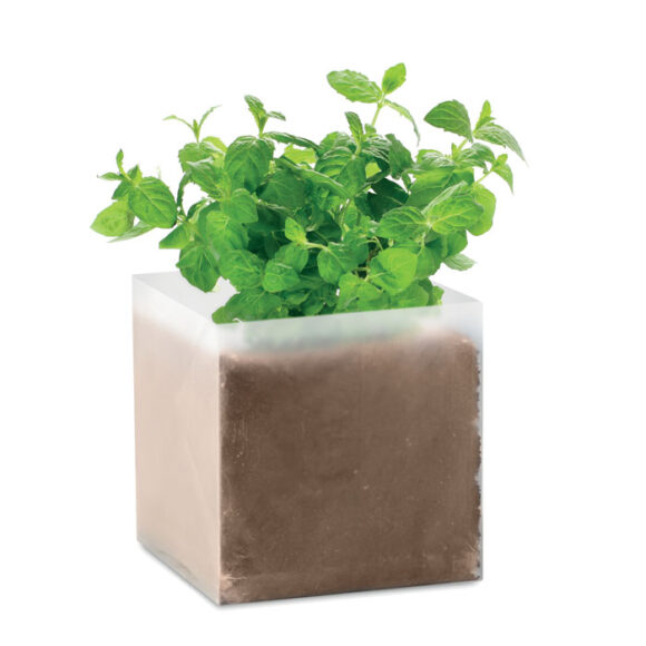 MINT - MO9546