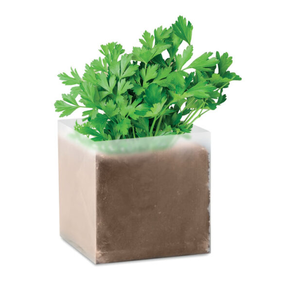PARSELY - MO9547
